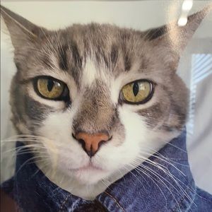 Meet your Posher, Lesley